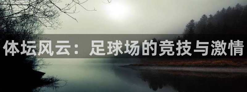 JJB竞技宝官方正版app娱乐首页网站大全：体坛风云