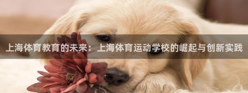 JJB竞技宝官网下载招商电话是多少：上海体育教育的未