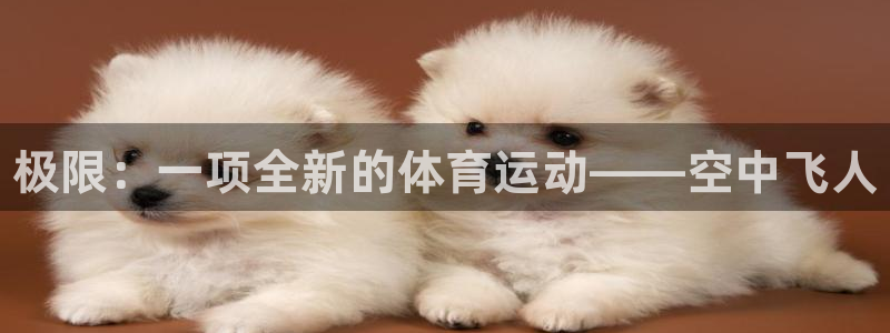 海南JJB竞技宝官网下载：极限：一项全新的体育运动—
