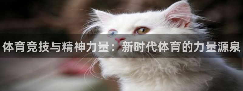 JJB竞技宝官网下载平台注册流程视频：体育竞技与精神力量：新