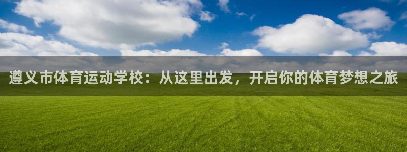 JJB竞技宝官方正版app集团E.ON：遵义市体育运