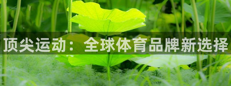 JJB竞技宝官网下载招商电话地址查询：顶尖运动：全球