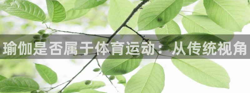 JJB竞技宝官网下载平台注册要钱吗是真的吗：瑜伽是否