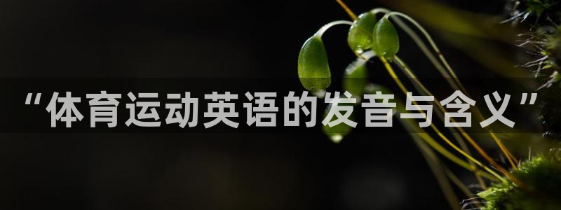 JJB竞技宝官网下载平台注册流程图：“体育运动英语的