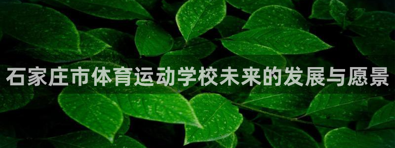 JJB竞技宝官方正版app娱乐代理怎么样：石家庄市体育运动学