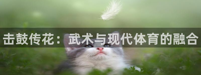 JJB竞技宝官方正版app娱乐网站：击鼓传花：武术与现代体育
