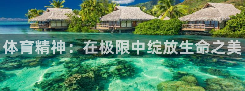 JJB竞技宝官网下载平台注册要钱吗：体育精神：在极限