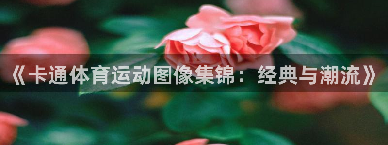 JJB竞技宝官网下载招商电话号码是多少：《卡通体育运动图像集