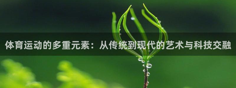 JJB竞技宝官网下载平台注册：体育运动的多重元素：从传统到现