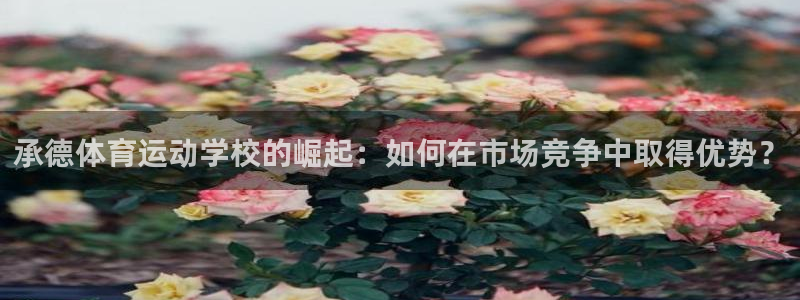 注册JJB竞技宝官方正版app：承德体育运动学校的崛