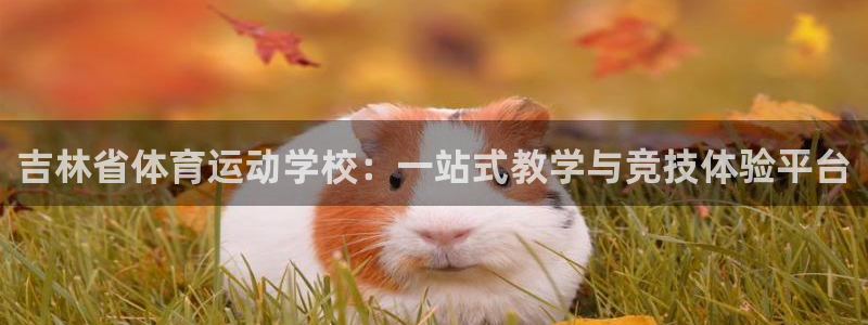 JJB竞技宝官网下载招商电话地址：吉林省体育运动学校