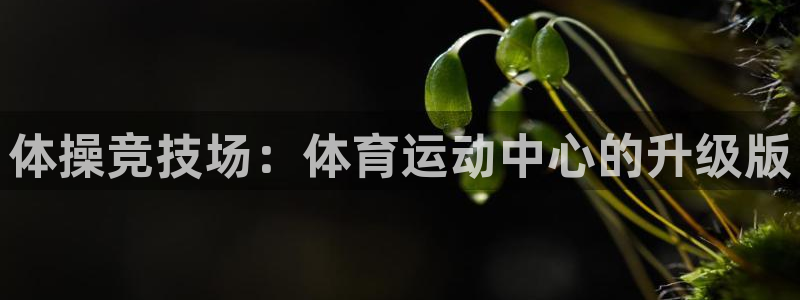 JJB竞技宝官方正版app集团E.ON：体操竞技场：体育运动