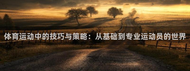 JJB竞技宝官方正版app娱乐首页网站大全：体育运动中的技巧