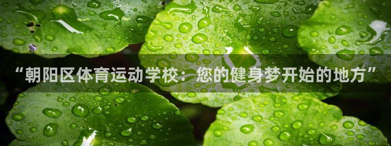 JJB竞技宝官网下载招商电话是多少：“朝阳区体育运动学校：您