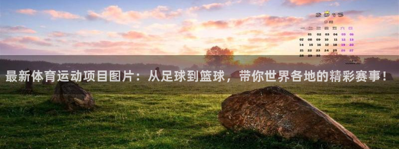 JJB竞技宝官方正版app集团E.ON：最新体育运动项目图片