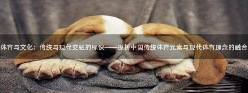 JJB竞技宝官方正版app娱乐平台