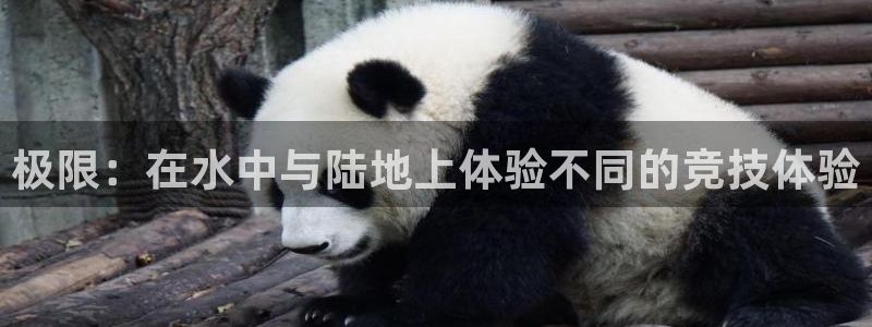 JJB竞技宝官方正版app代理：极限：在水中与陆地上体验不同