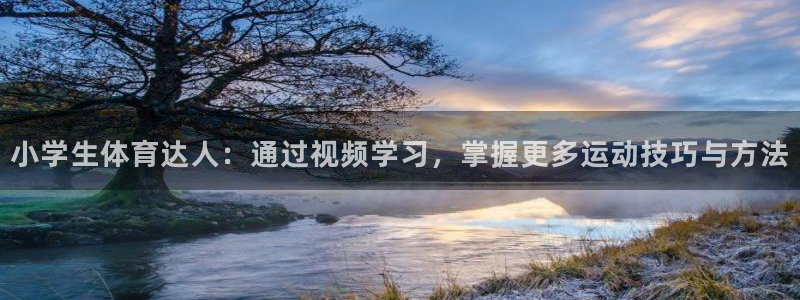 JJB竞技宝官方正版app开户：小学生体育达人：通过视频学习