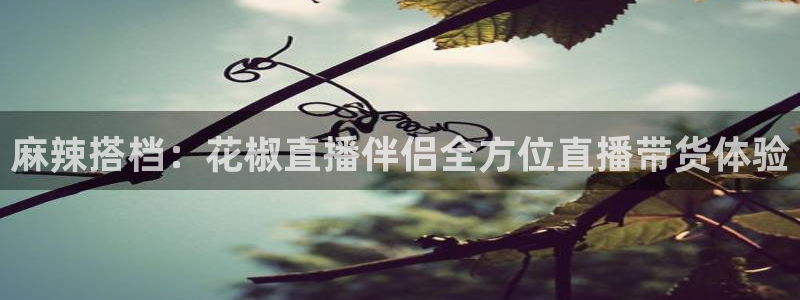 五星体育直播怎么看：麻辣搭档：花椒直播伴侣全方位直播带货体验
