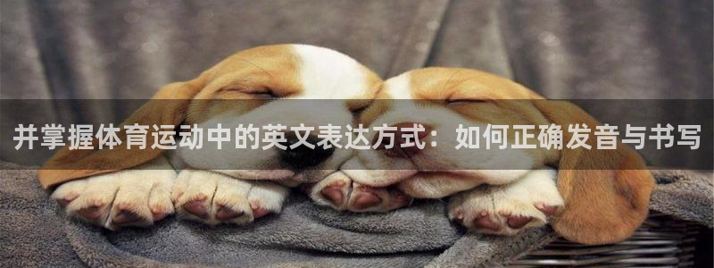 竞技宝客服连不上看hahabet：并