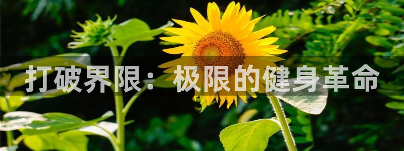 竞技宝软件下载：打破界限：极限的健身