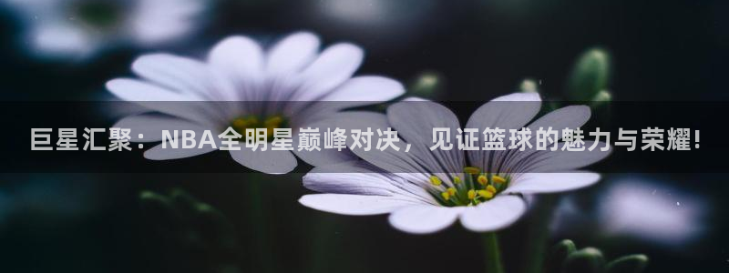 五星体育直播在线观看中超