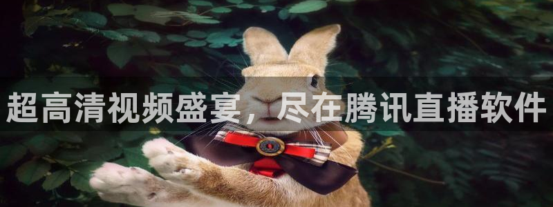 五星体育高清频道
