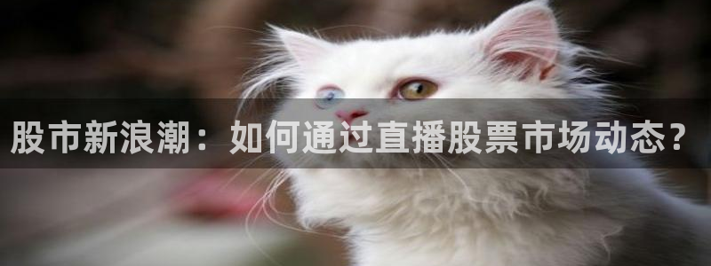 上海五星体育直播回看
