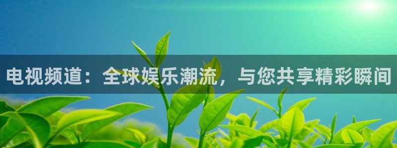 五星体育 直播观看f1
