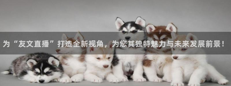 五星体育电视频道：为“友文直播”打造全新视角，为您其独特魅力与未来发展前景！