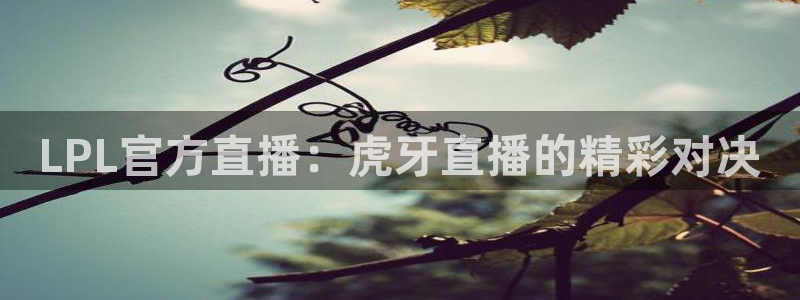 上海五星体育手机免费直播：LPL官方直播：虎牙直播的精彩对决