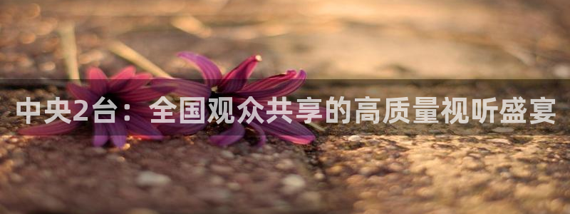 五星体育唐蒙：中央2台：全国观众共享的高质量视听盛宴