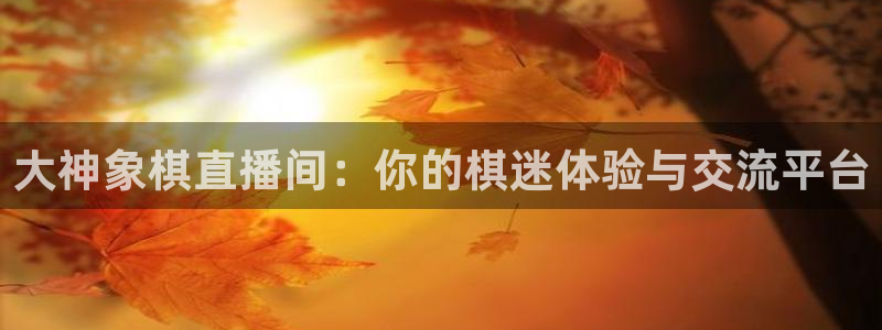 五星体育频道节目表：大神象棋直播间：你的棋迷体验与交流平台