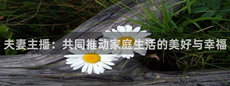五星体育网页版：夫妻主播：共同推动家庭生活的美好与幸福