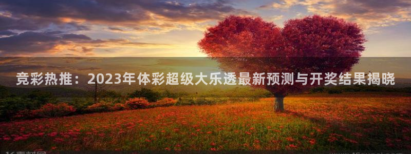 五星体育节目表直播在线观看：竞彩热推：2023年体彩超级大乐透最新预测与开奖结果揭晓